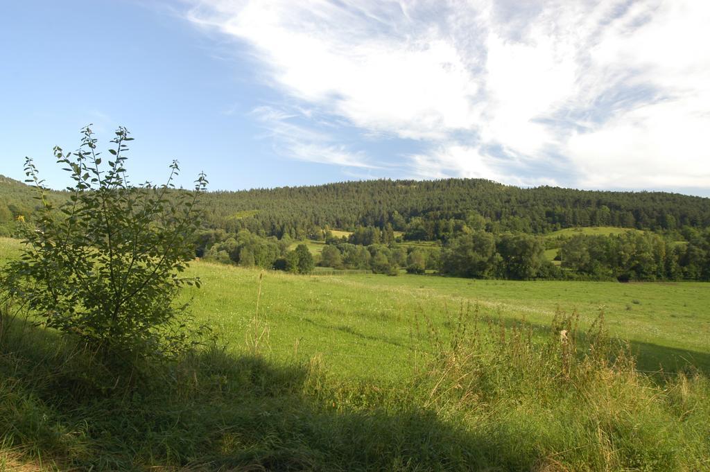 Ferienanlage Reinsberger Dorf Plaue  Exterior foto
